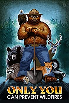 yÁzyAiEgpzSmokey Bear Only You Can Prevent Wildfirees (24x36 W[N[M[A[gvgAN₩Ȏ̕Ǒ)