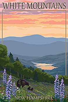 【中古】【輸入品・未使用】White Mountains, New Hampshire, Bear and Cubs with Flowers 43826 (24x36 ジクレーギャラリープリント、壁の装飾トラベルポスター)