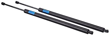 StrongArm 6117PR ホンダオデッセイ、リフトゲートリフトサポート、ペアパック Pair Pack of 2 6117PR