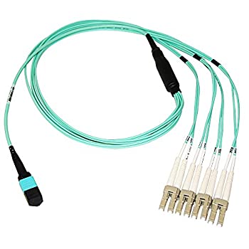 yÁzyAiEgpzAXIOM MPO FEMALE TO 4 LC MULTIMODE OM4 50/125 FIBER OPTIC BREAKOUT CABLE - 1M