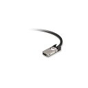 【中古】【輸入品・未使用】Kabel HP 300cm CX4 Cable