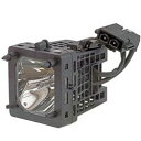 【中古】【輸入品・未使用】交換用for Rexim rm-111交換用電球