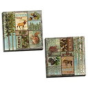 楽天スカイマーケットプラス【中古】【輸入品・未使用】Cabin and LodgeコラージュスタイルビーバーSquirrelムースAcorn and Pine Cone印刷さ2つ、12?x 12プリントポスター Two 16x16in Canvases