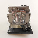 【中古】【輸入品・未使用】CTLAMP交換用プロジェクターランプpoa-lmp117?with housing for Sanyo pdg-dwt50?/pdg...