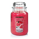 【中古】【輸入品・未使用】Yankee Candle (ヤンキーキャンドル) Lサイズ 瓶 キャンドル