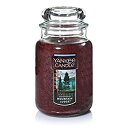 【中古】【輸入品 未使用】Yankee Candle Lサイズ ジャーキャンドル マウンテンロッジ Large Jar Candle ブラウン -P