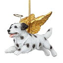 【中古】【輸入品・未使用】デザイントスカーノHonor The Pooch Dalmation Holiday犬エンジェルオーナメント、マルチ