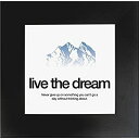 【中古】【輸入品 未使用】Aurora Products AUAMPDREAM Motivational Poster, Dream, 20 in. x 20 in., Black