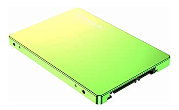 Somnambulist sata ノートパソコン hd ソリッドステートハードドライブ 60gb ssd 960gb 2tb 60gb ssd (グラデーション黄緑-60GB)