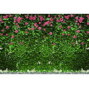 【中古】【輸入品・未使用】shensu ビニール 10x7フィート ロマンチックな花 緑のつる 壁背景 写真撮影用 ナチュラルフローラル 写真 背景 結婚式 ブライダル シャワー 女の