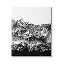 【中古】【輸入品・未使用】Stupell Industries スノーキャップ 山 ハイコントラスト ブラック ホワイト 風景 シェリーレイクによるデザイン キャンバスウォールアート 30 x(4)