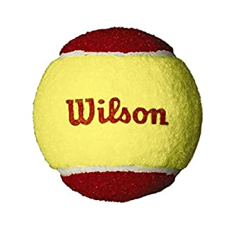 【中古】【輸入品・未使用】Wilson USオープン スターターボール 3個パック