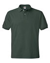 yÁzyAiEgpzHanes mens 5.2 oz. 50/50 ComfortBlend EcoSmart Jersey Knit Polo(054X)-Deep Forest-2XL