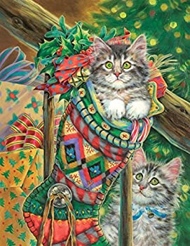 【中古】【輸入品・未使用】SpringbokパズルストッキングCuriosityジグソーパズル( 500ピース)