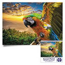 【中古】【輸入品・未使用】大人用ジグソーパズル 1000ピース サンセットオウム Lサイズ 27x19インチ タイトフィットユニークなピース 背面に6ゾーンマッ...