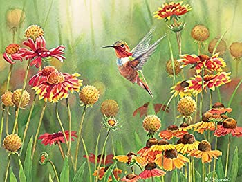 【中古】【輸入品 未使用】Rufous Hummingbird