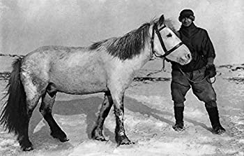 【中古】【輸入品・未使用】エドワード・ウィルソン (1872-1912) ネイングリッシュ医師とロバート・ファルコン スコット テラ ノヴァ エクスペディション 南極への道 シベリ