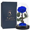 【中古】【輸入品・未使用】SW Forever プリザーブドリアルローズ クリスマス バレンタインギフト お母さんへのギフト 女性へのギフト ブルーエターナルフ...