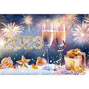 【中古】【輸入品・未使用】Laeacco 10x8フィート 2023年 大正月背景 Happy New Year Eve写真背景 シャンパン 花火 ボケハロス 雪 メリークリスマス ハッピー2023年 新年パ