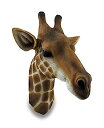 【中古】【輸入品・未使用】樹脂壁Sculptures GiraffeバストエキゾチックTrophy Head Wall Hanging Sculpture 12?x 17?x 11インチブラウンモデル# hd38854