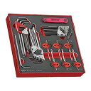 【中古】【輸入品・未使用】Teng Tools 42ピース メトリックとSAE 六角とトルクスアレンキーレンチフォームセット - TEDHT42 シルバー