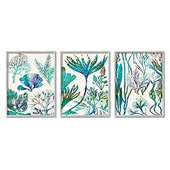 【中古】【輸入品・未使用】Stupell Industries Collage of Blue Sea Plants Ocean Floor, シャロン・チャンドラーによるデザイン グレーフレームウォールアート 16 x 20