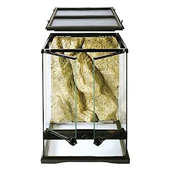 šۡ͢ʡ̤ѡExo Terra Glass Terrarium, 12 by 12 by 18-Inch by Exo Terra