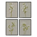 【中古】【輸入品・未使用】Stupell Industries ヴィンテージホワイトワイルドフラワースタディソフト花びら、Jennifer Goldberger...