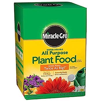 Pound 160101 Water-Soluble All Purpose Plant Food, 24-8-16, 1-Po