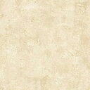 【中古】【輸入品・未使用】Faux Stucco in Tan???ll29522 Double Roll LL29522 6(2)