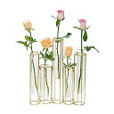 【中古】【輸入品・未使用】Radefasun ヒンジ付き花瓶 5本のテストチューブ付き ガラス花瓶 メタルスタンド付き 曲げたりつながった伝播ステーション 植物ディスプレイホル(4)