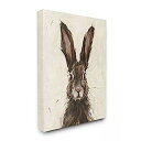 【中古】【輸入品・未使用】Stupell Industries ブラウンヨーロピアンうさぎポートレート絵画、イーサン・ハーパーによるデザイン、16 x 20、キャンバス