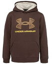 yÁzyAiEgpzUnder Armour Boys' Outdoor Hoodie, Walnut Brown, 8