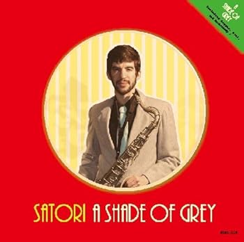 【中古】【良い】A Shade Of Grey