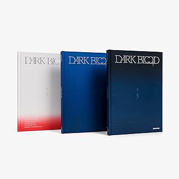 【中古】【良い】ENHYPEN 'DARK BLOOD' (韓国盤）