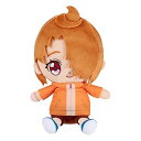 【中古】【良い】ひろがるスカイ!プリキュア キュアフレンズぬいぐるみ 夕凪ツバサ
