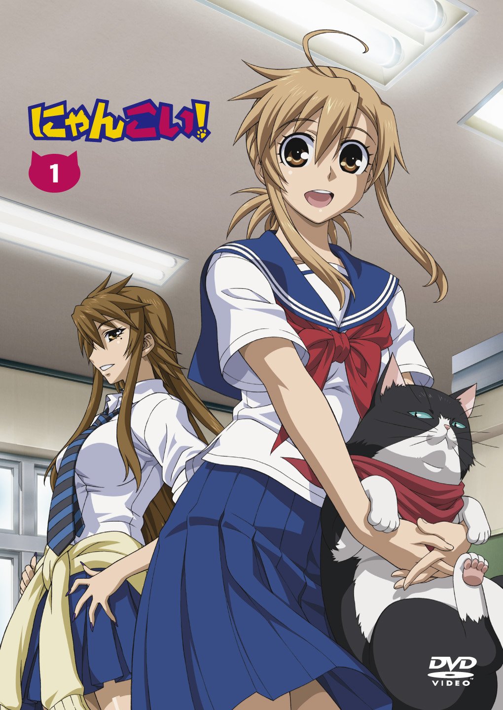 【中古】【非常に良い】にゃんこい! 1 (DVD 初回限定版)