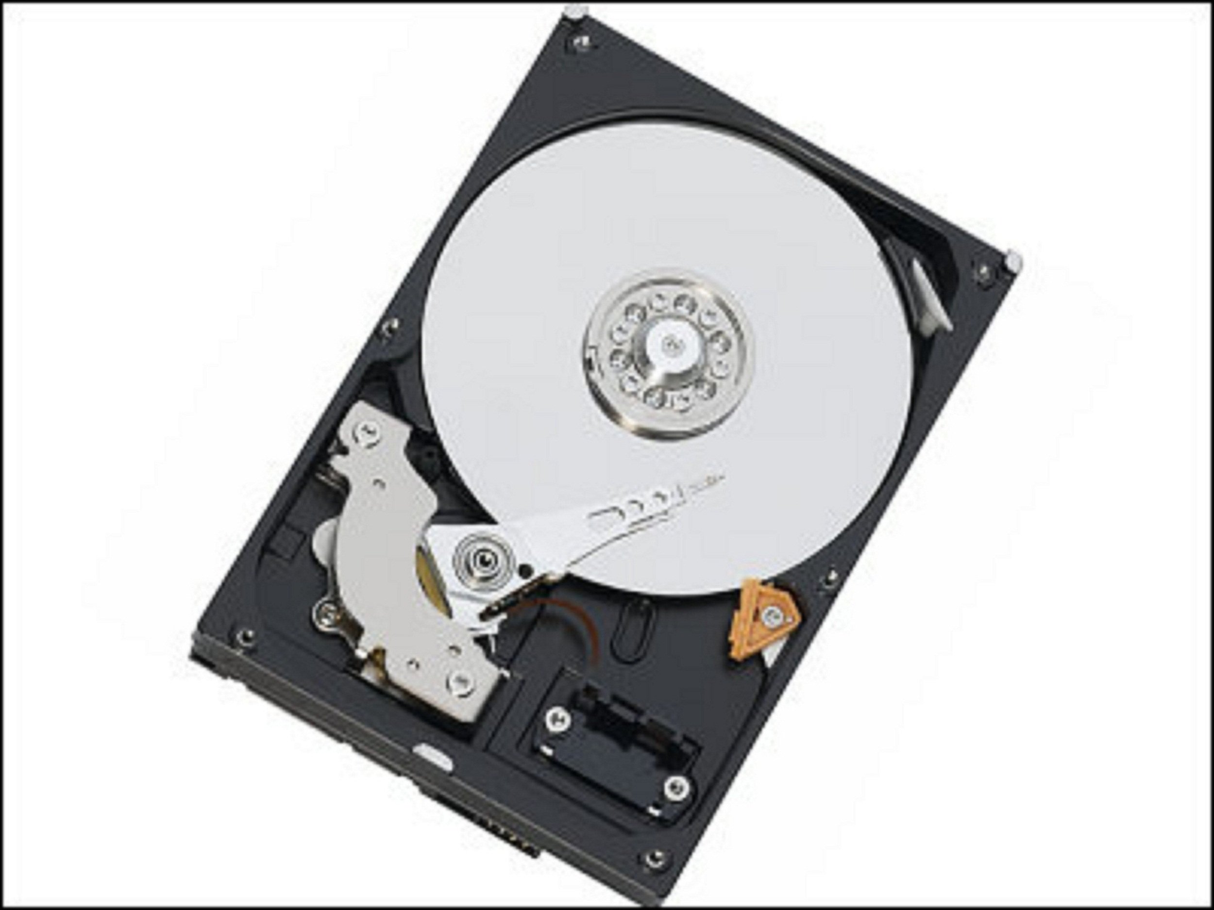 【メーカー名】ウエスタンデジタル(Western Digital)【メーカー型番】【ブランド名】ウエスタンデジタル(Western Digital)【商品説明】WD Blue 2.5inch 5400rpm 320GB 8MB SATA WD3200BPVT・画像はイメージ写真ですので付属品など画像の通りではないこともございます。　付属品については商品タイトルに記載がない場合がありますので、　ご不明な場合はメッセージにてお問い合わせください。・当店ではレコード盤には商品タイトルに［レコード］と表記しております。　表記がない物はすべてCDですのでご注意ください。・当店では初期不良に限り、商品到着から7日間は返品を 受付けております。　お問い合わせ・メールにて不具合詳細をご連絡ください。・他モールとの併売品の為、完売の際はキャンセルご連絡させて頂きます。・中古品の商品タイトルに「限定」「初回」「保証」「DLコード」などの表記がありましても、　特典・付属品・帯・保証等は付いておりません。・電子辞書、コンパクトオーディオプレーヤー等のイヤホンは写真にありましても　衛生上、基本お付けしておりません。※未使用品は除く・品名に【import】【輸入】【北米】【海外】等の国内商品でないと把握できる表記商品について　国内のDVDプレイヤー、ゲーム機で稼働しない場合がございます。予めご了承の上、購入ください。・掲載と付属品が異なる場合は確認のご連絡をさせて頂きます。ご注文からお届けまで1、ご注文⇒ご注文は24時間受け付けております。2、注文確認⇒ご注文後、当店から注文確認メールを送信します。3、お届けまで3〜10営業日程度とお考えください。4、入金確認⇒前払い決済をご選択の場合、ご入金確認後、配送手配を致します。5、出荷⇒配送準備が整い次第、出荷致します。配送業者、追跡番号等の詳細をメール送信致します。6、到着⇒出荷後、1〜3日後に商品が到着します。　※離島、北海道、九州、沖縄は遅れる場合がございます。予めご了承下さい。・お電話でのお問合せは少人数で運営の為受け付けておりませんので、お問い合わせ・メールにてお願い致します。★お客様都合によるご注文後のキャンセル・返品は　お受けしておりませんのでご了承ください。