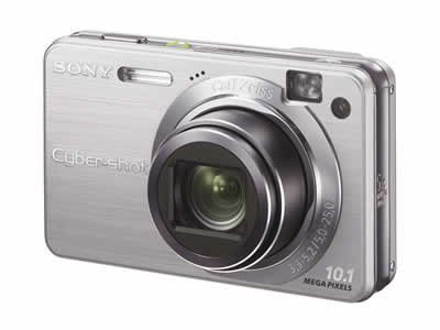 【中古】【非常に良い】SONY デジタルカメラ Cyber-Shot(サイバーショット) W170 (1010万画素/光学x5/デジタルx10/シルバー) DSC-W170 S