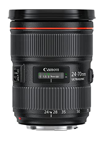 CANON - 【中古】【非常に良い】Canon 標準ズームレンズ EF24-70mm F2.8L II USM フルサイズ対応