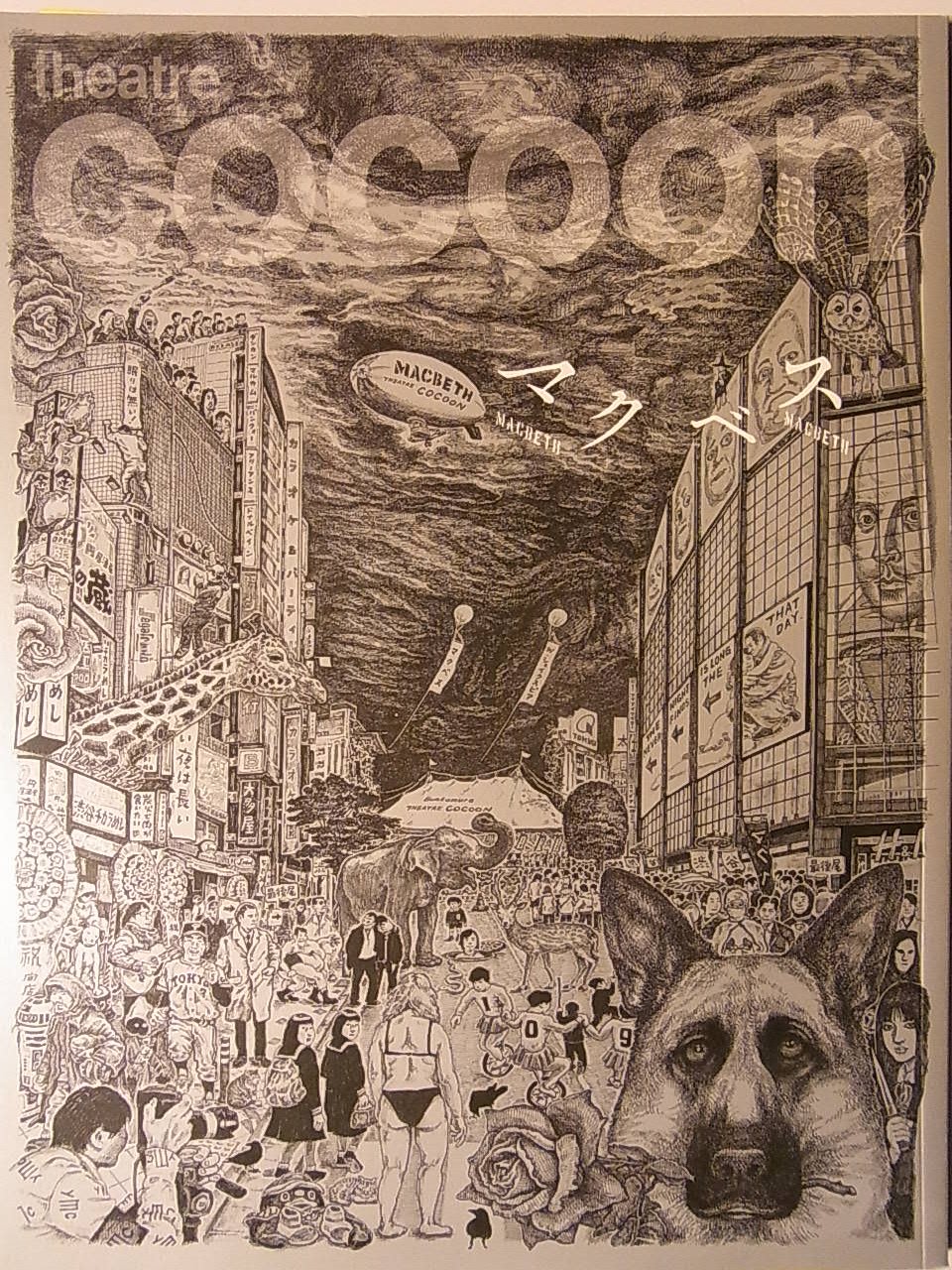 【中古】【非常に良い】舞台パンフレット　マクベス　2013年シアターコクーン公演　堤真一　常盤貴子　風間杜夫　白井晃　三田和代