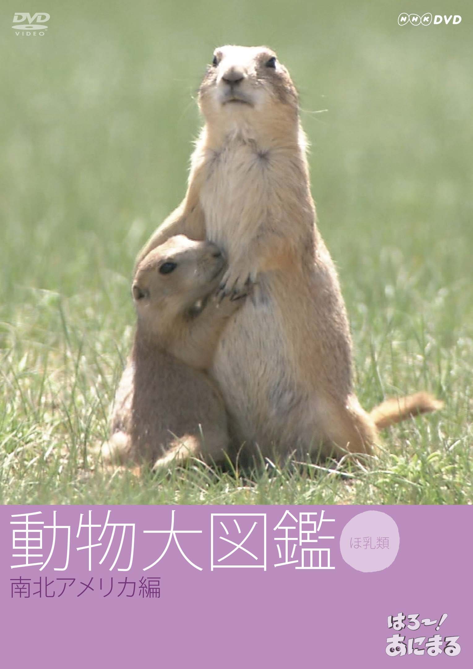 【中古】【非常に良い】はろ~!あにまる 動物大図鑑 5 南北アメリカ編 [DVD]