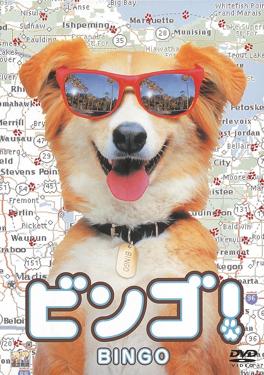 【中古】【非常に良い】ビンゴ! [DVD]