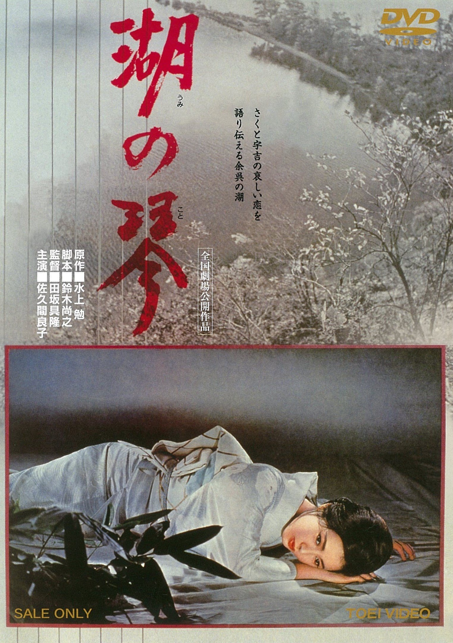 【中古】【非常に良い】湖の琴 [DVD]