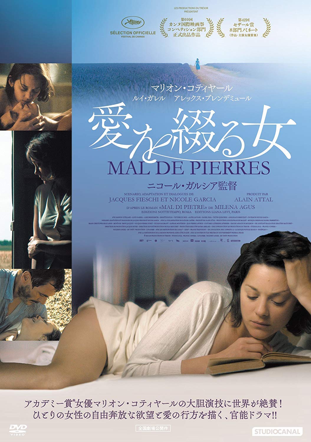 【中古】【非常に良い】愛を綴る女 [DVD]