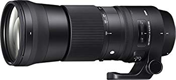 【中古】SIGMA 150-600mm F5-6.3 DG OS HSM | C