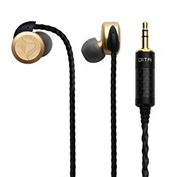 【中古】DITA 密閉型イヤホン Answer Truth マットゴールド ANSWER-TRUTH-GLD w17b8b5 【中古】DITA 密閉型イヤホン Answer Truth マットゴールド ANSWER-TRUTH-GLD w17b8b5