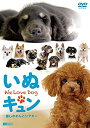 【中古】シンフォレストDVD いぬキュン 癒しのわんこシアター We Love Dog