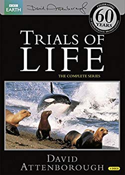 【中古】【非常に良い】Trials of Life -生命の試練- DVD-BOX (12エピソード 583分) BBC EARTH ライフシリーズ / デイビッド・アッテンボロー [DVD] [Import] [PAL 再生 i8my1cf
