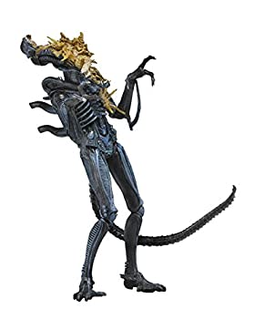楽天市場】neca alien 40thの通販